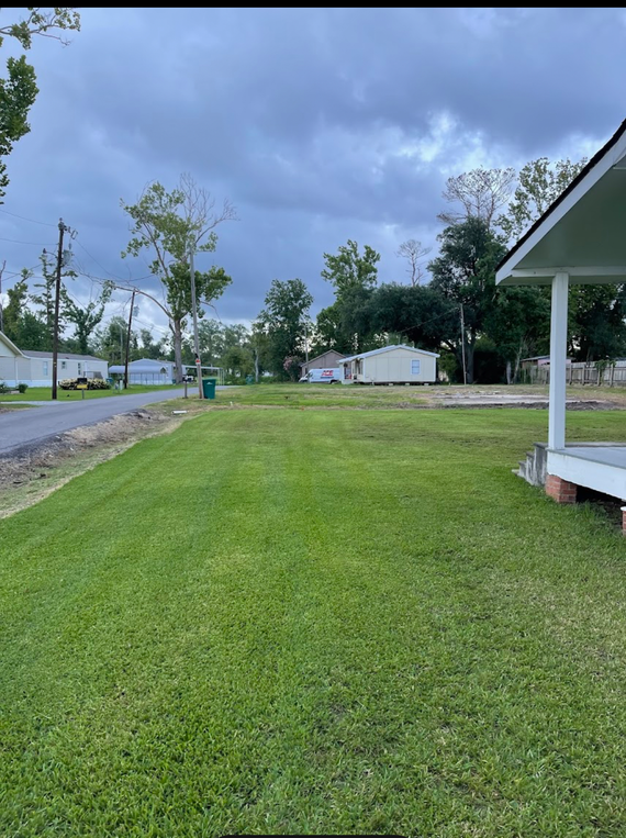 Green lawn with empty lot, houses in the background, under an overcast sky.