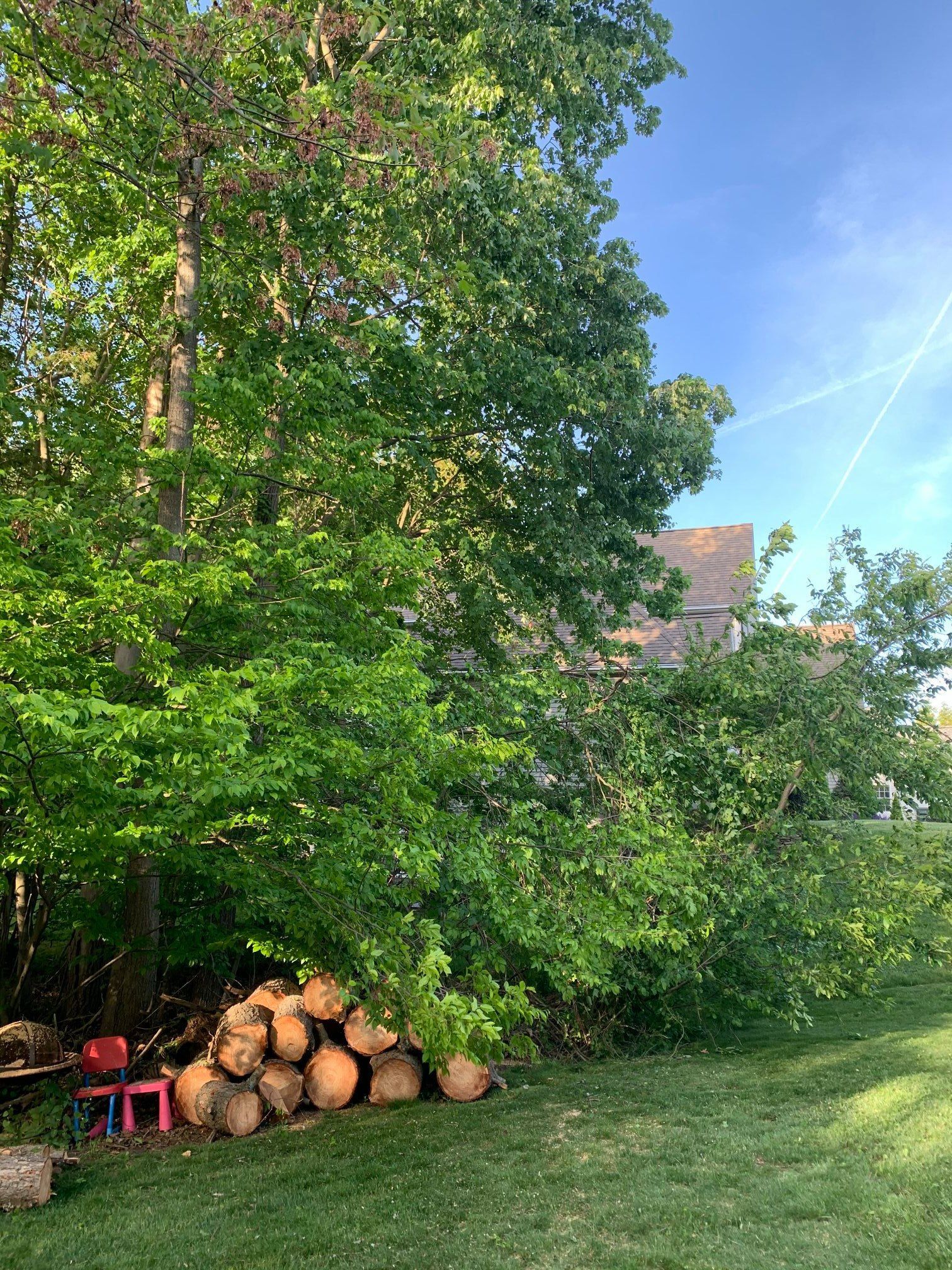 A pile of logs is sitting under a tree in a backyard.