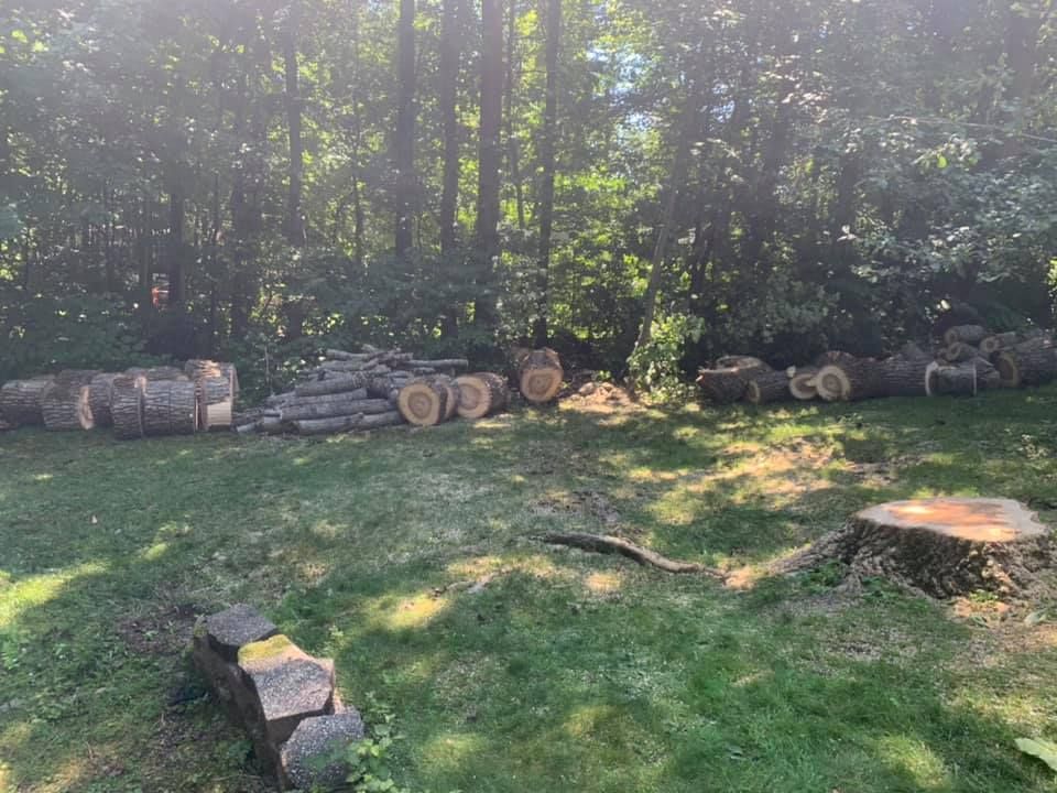 A pile of logs sitting on top of a lush green field.