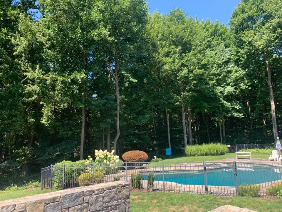 A large swimming pool surrounded by trees in a backyard.