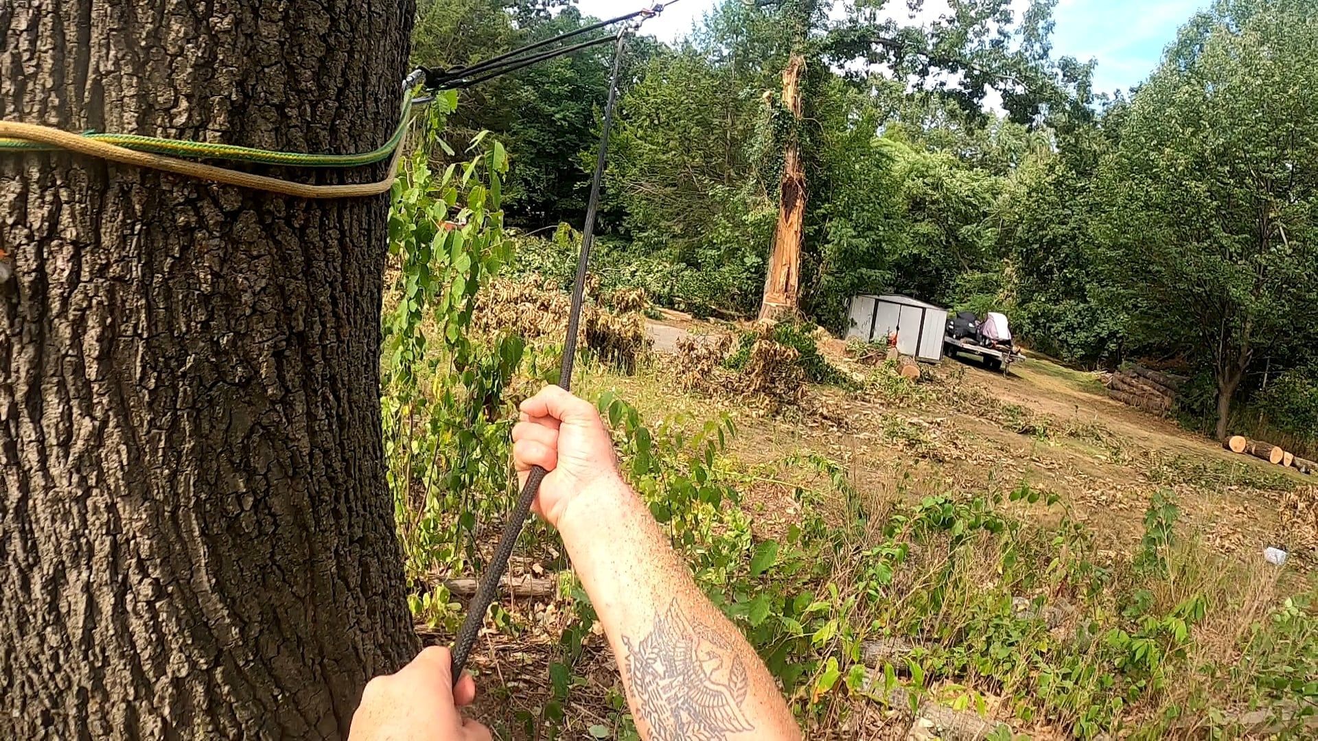 A person is tying a rope around a tree in the woods.