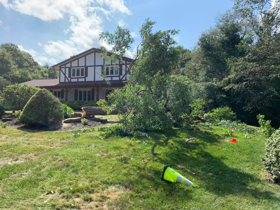 A large house with a fallen tree in front of it.
