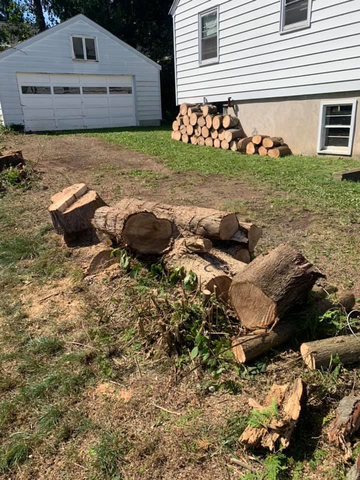 A pile of logs is sitting in the grass in front of a house.