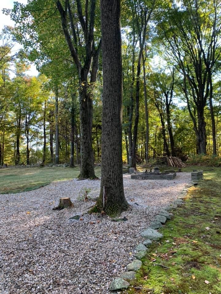 There is a fire pit in the middle of the woods.