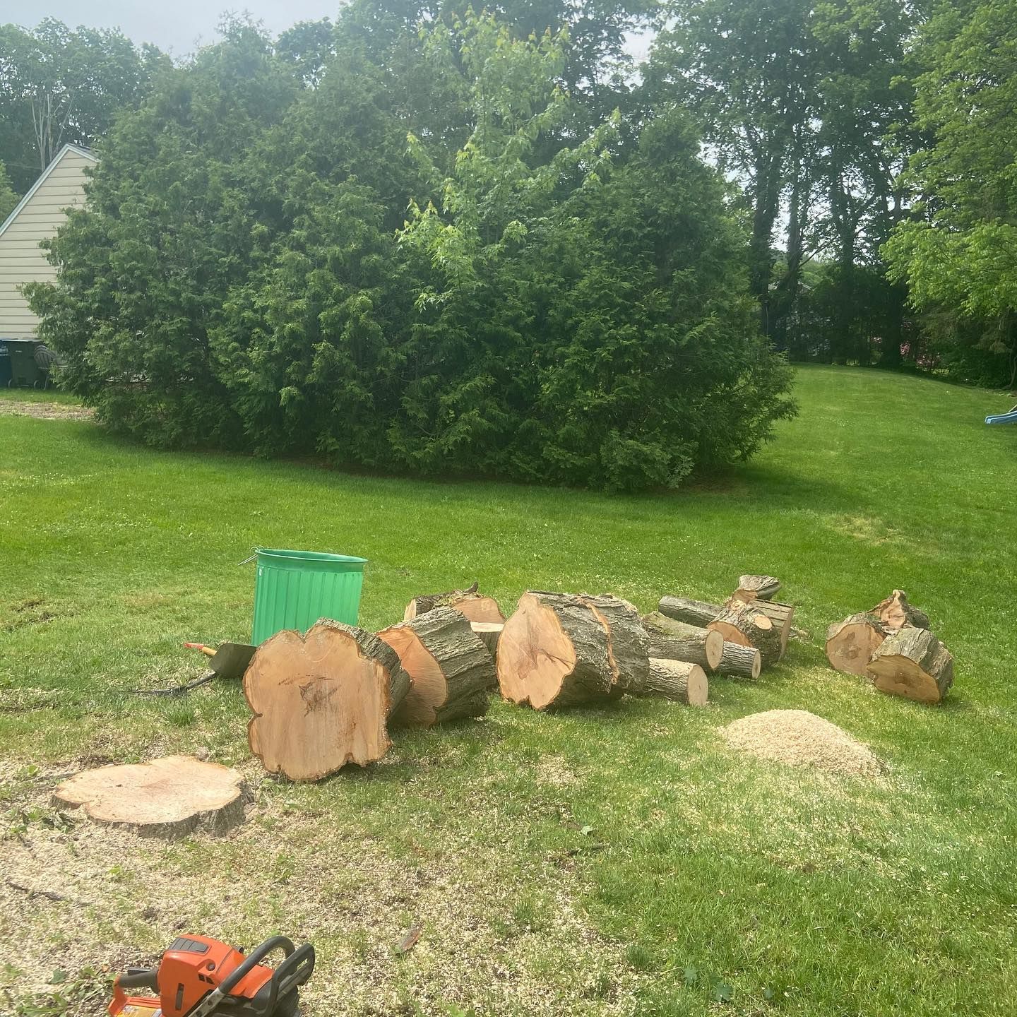 A chainsaw is sitting in the grass next to a pile of logs.