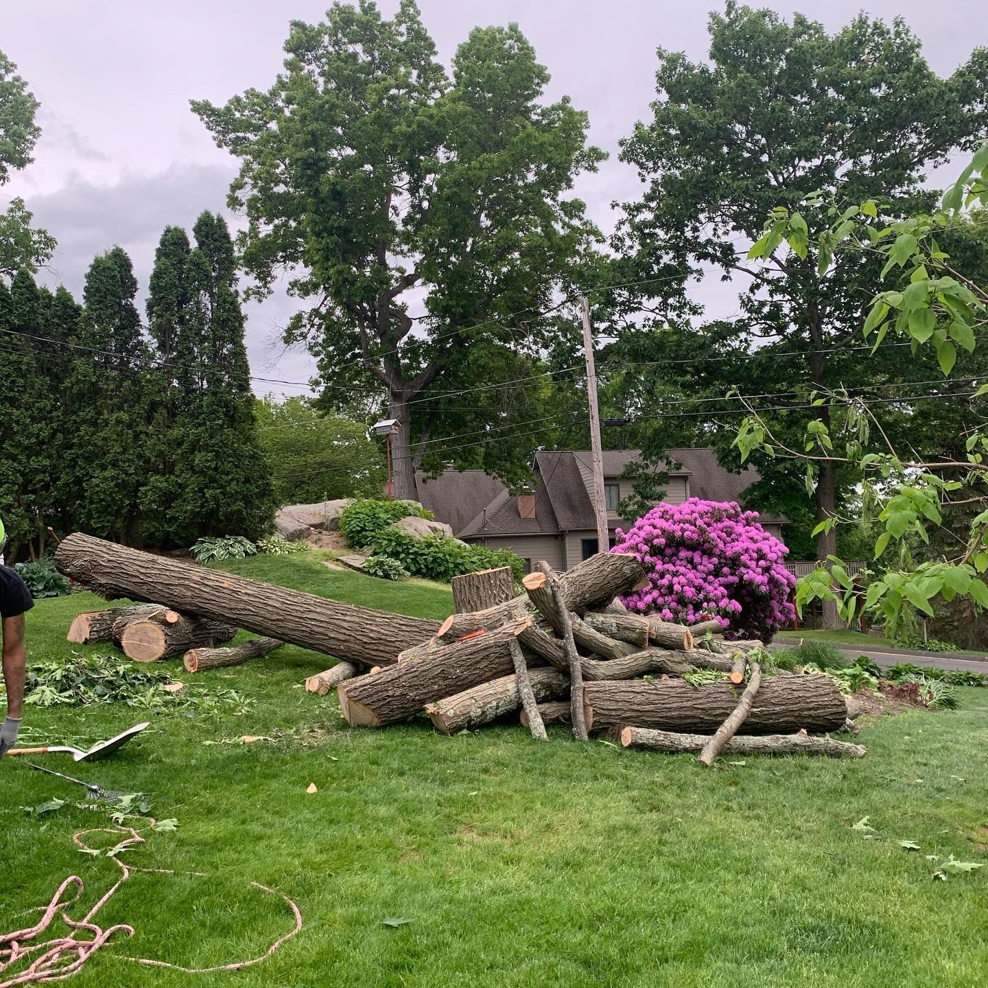 A pile of logs in a yard with a house in the background.