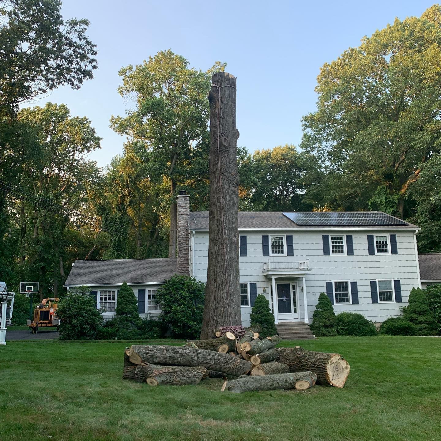 A house with a large tree in front of it