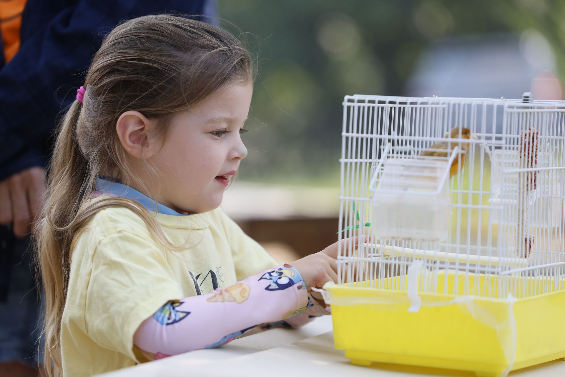 Child reaching toward a small white bird in a yellow cage outdoors