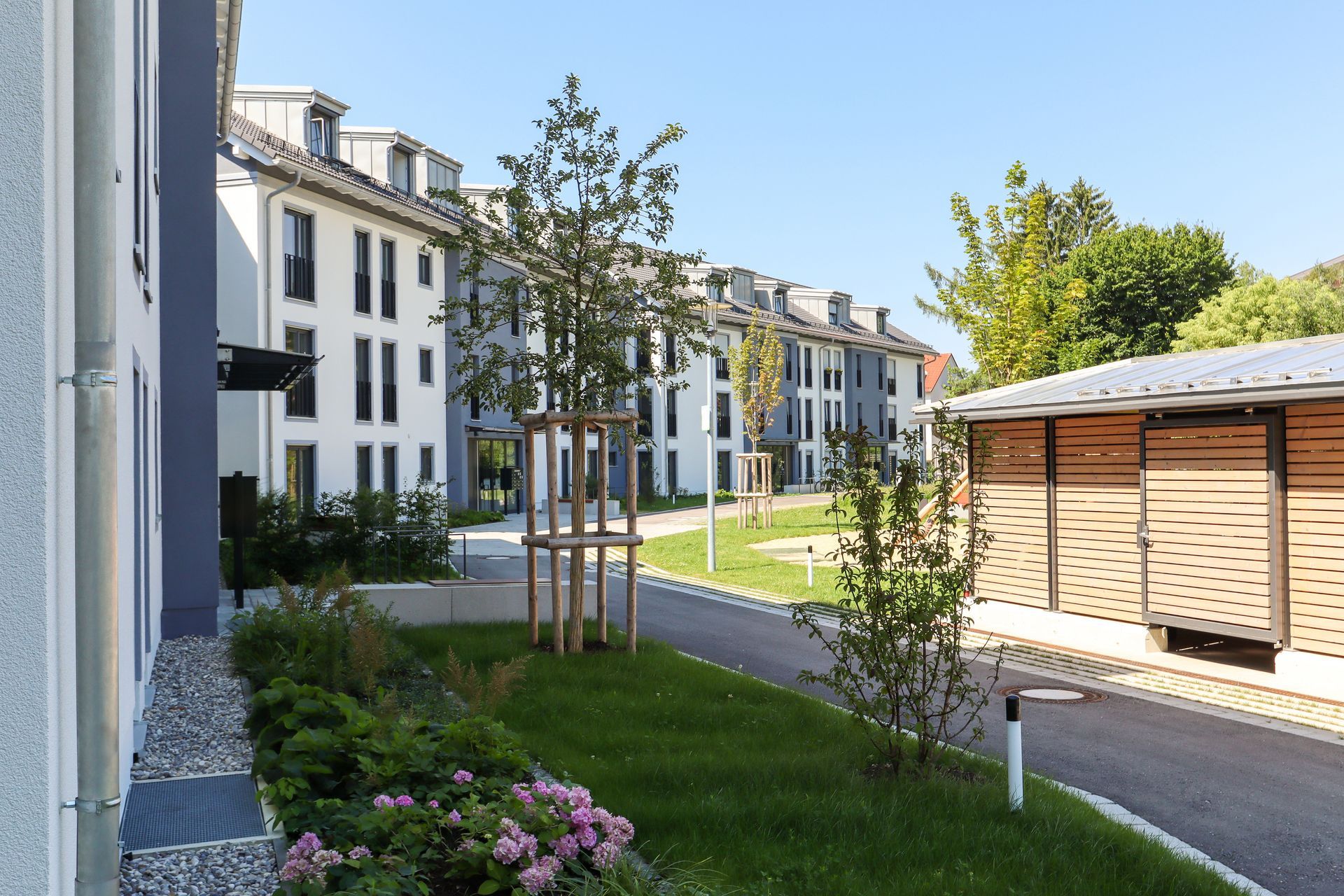 Modern apartment buildings with landscaped courtyard, trees, and walkway on a sunny day.