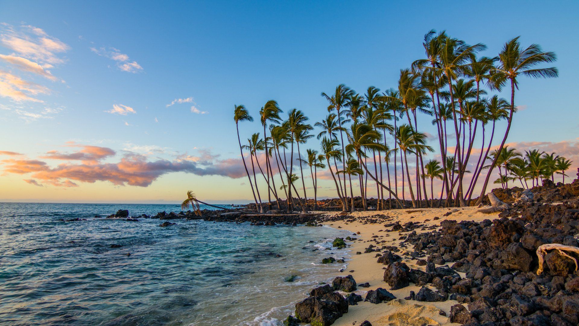 Beautiful Nature Of Hawaii. USA – Honolulu, HI – Hawaiian Properties