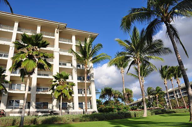 Luxury condos and palm trees, showcasing expert vacation rental management.