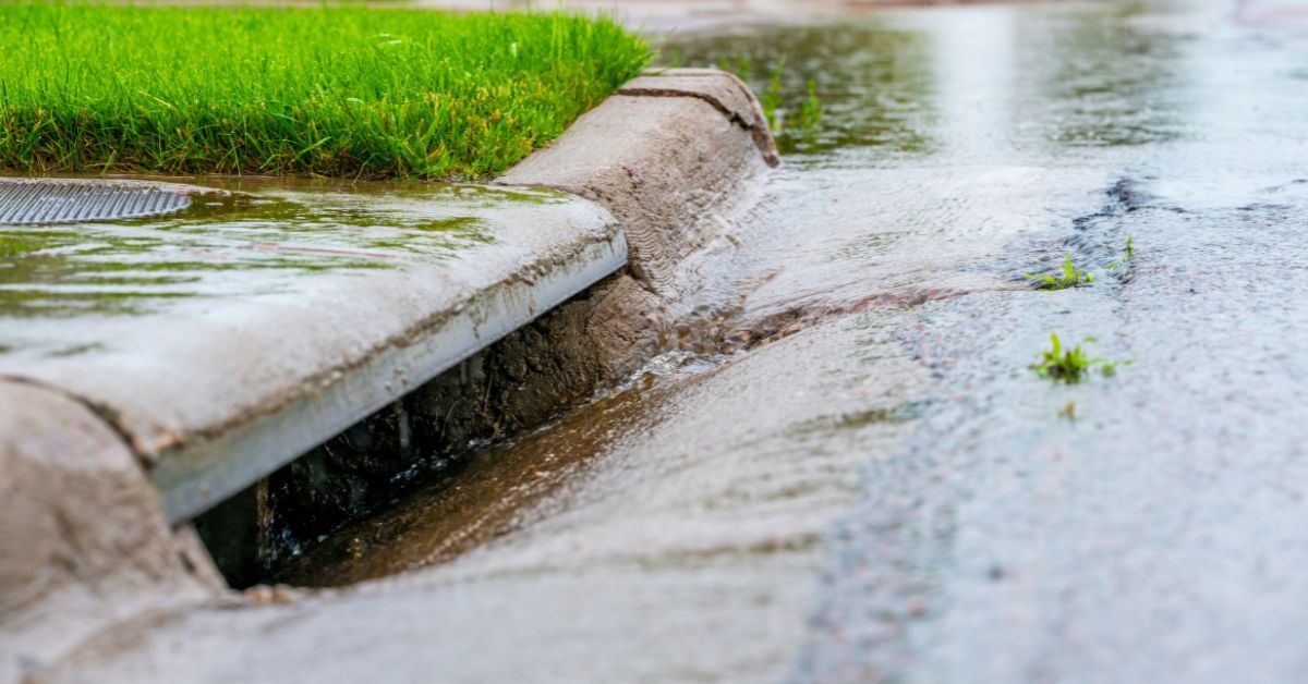 What To Look For When Hiring a Drain Clearing Contractor