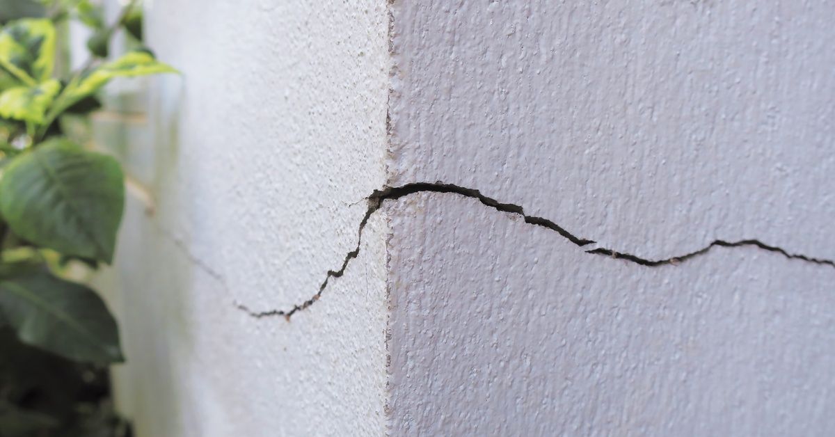 A close-up of a large crack running through the foundation of a house with leafy plants nearby.