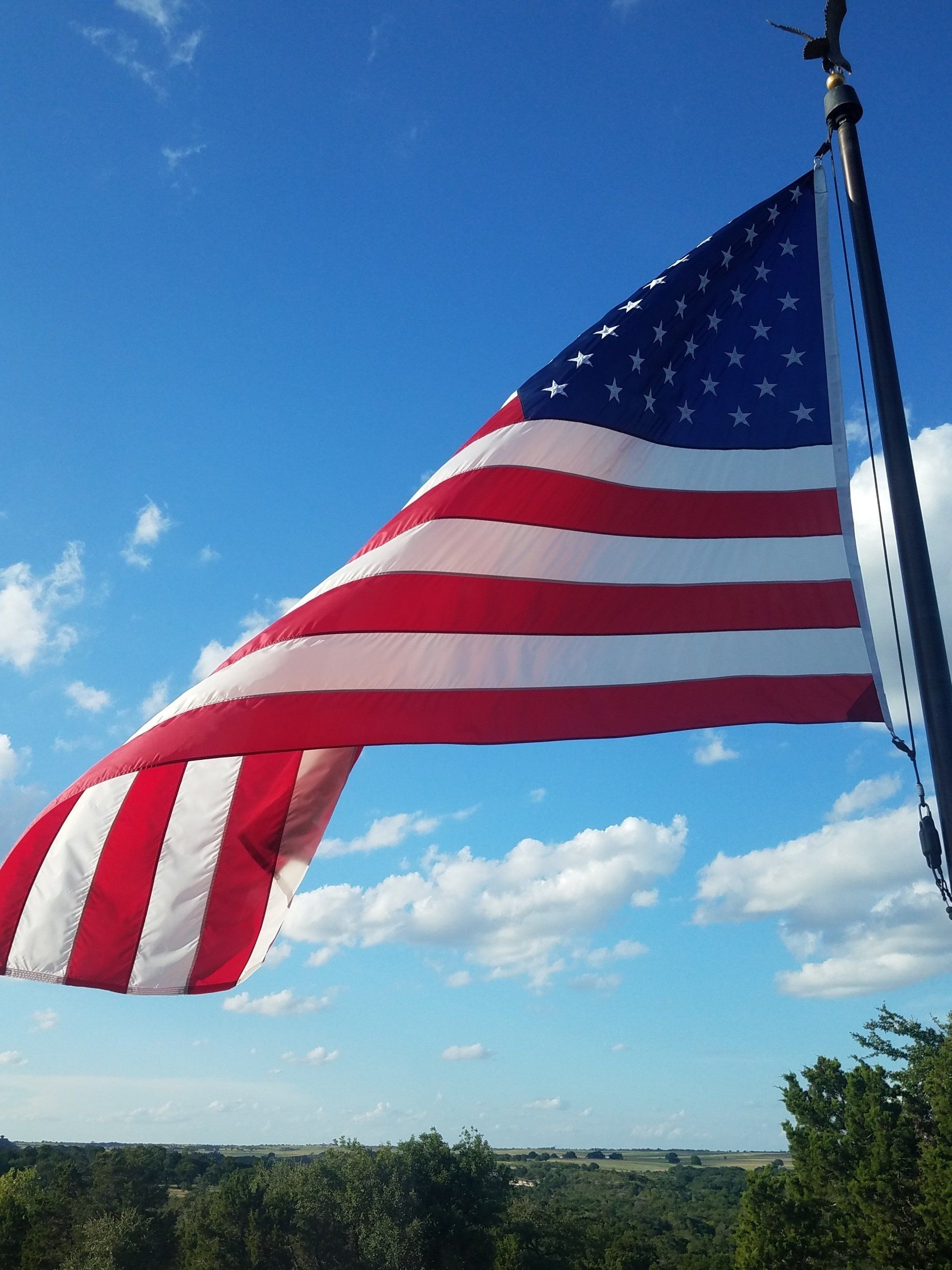 Waving Flag — Arlington, TX — FSI