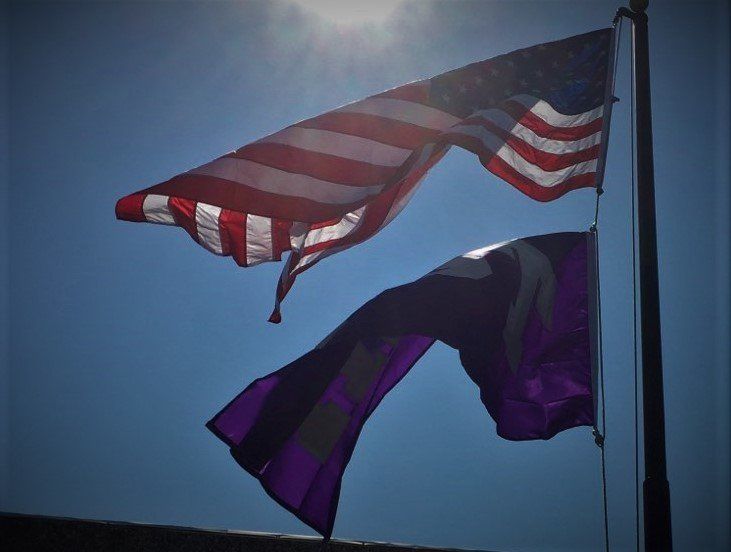 Waving Flags — Arlington, TX — FSI