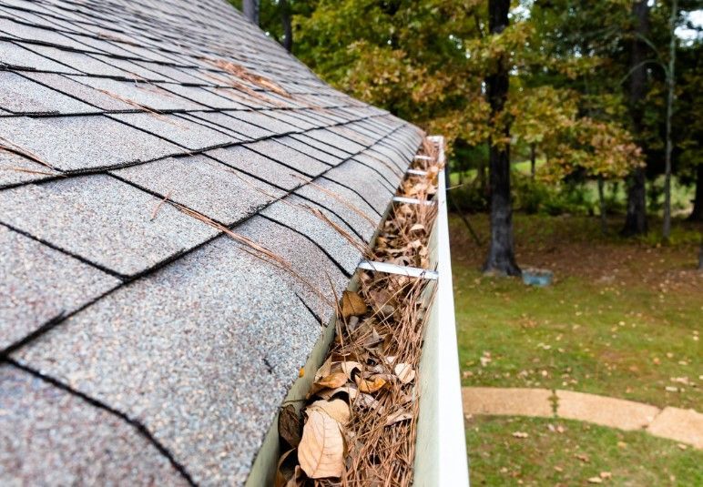 A gutter filled with leaves on the side of a roof.