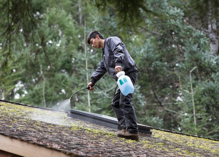 A man is spraying a roof with a spray bottle.