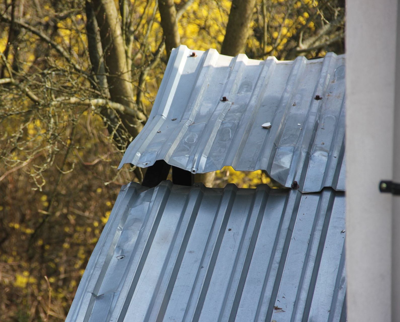 A metal roof with a hole in it and trees in the background