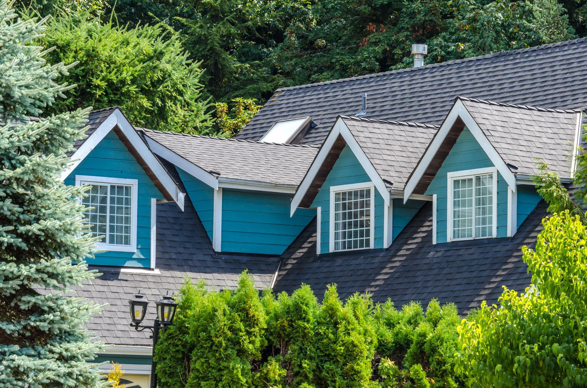 A blue house with a black roof is surrounded by trees.