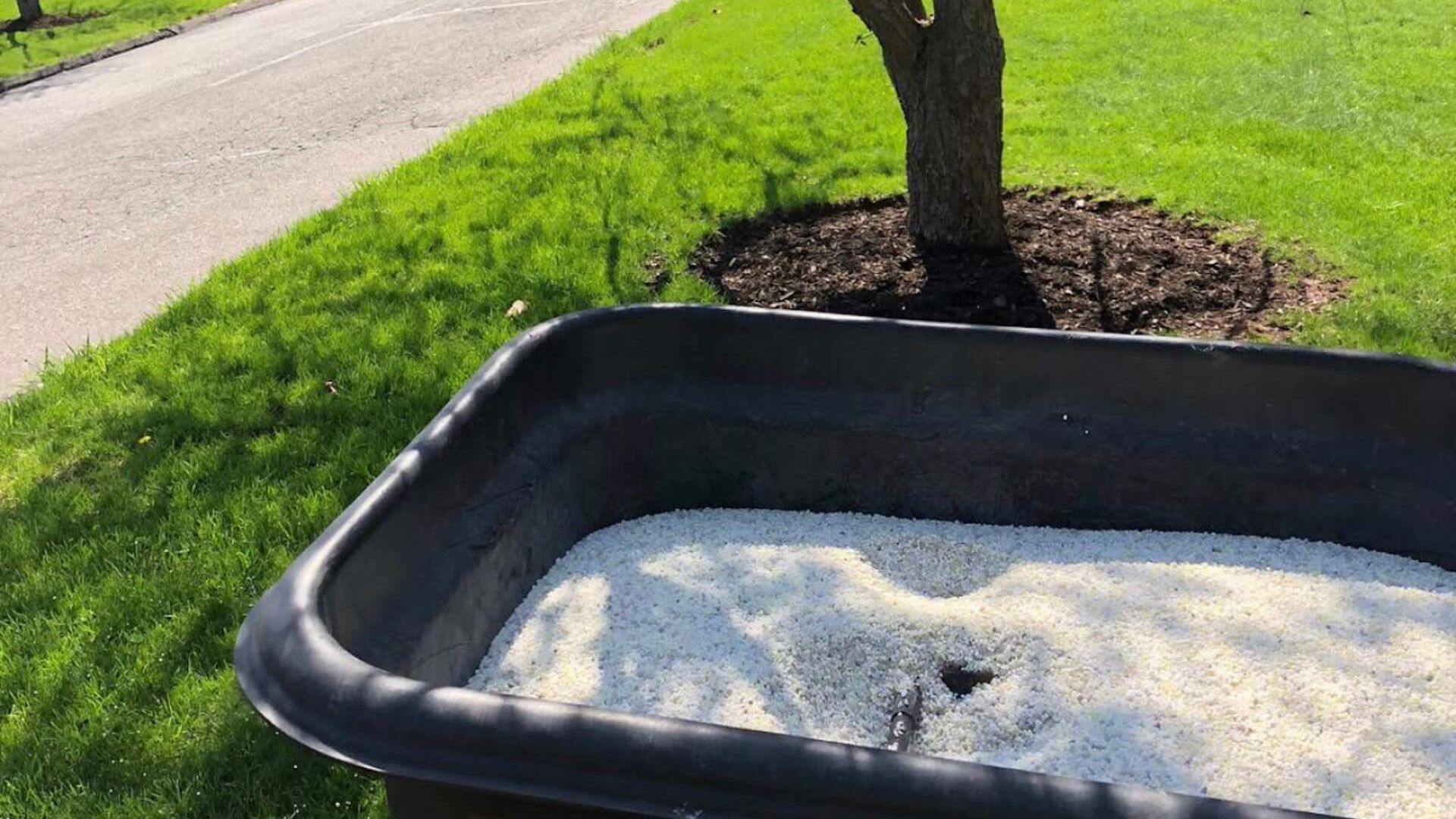 a black container filled with fertilizer seed is sitting in the grass next to a tree .