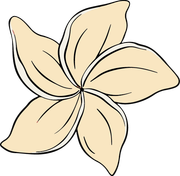 Cream-colored plumeria flower with five petals, outlined in black, against a white background.