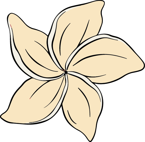 Cream-colored plumeria flower with five petals, outlined in black, against a white background.
