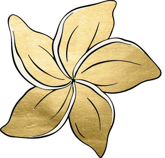 Gold plumeria flower with black outlines and white accents.
