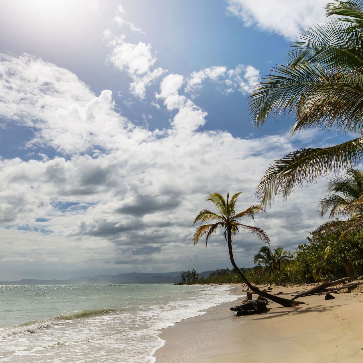 Sandy beach with palm trees and crashing waves under a partly cloudy sky.