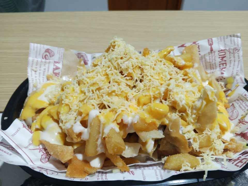 A serving of golden-brown french fries topped with yellow cheese sauce, white sauce, and a generous layer of grated cheese.