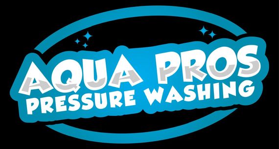 pressure washing owner