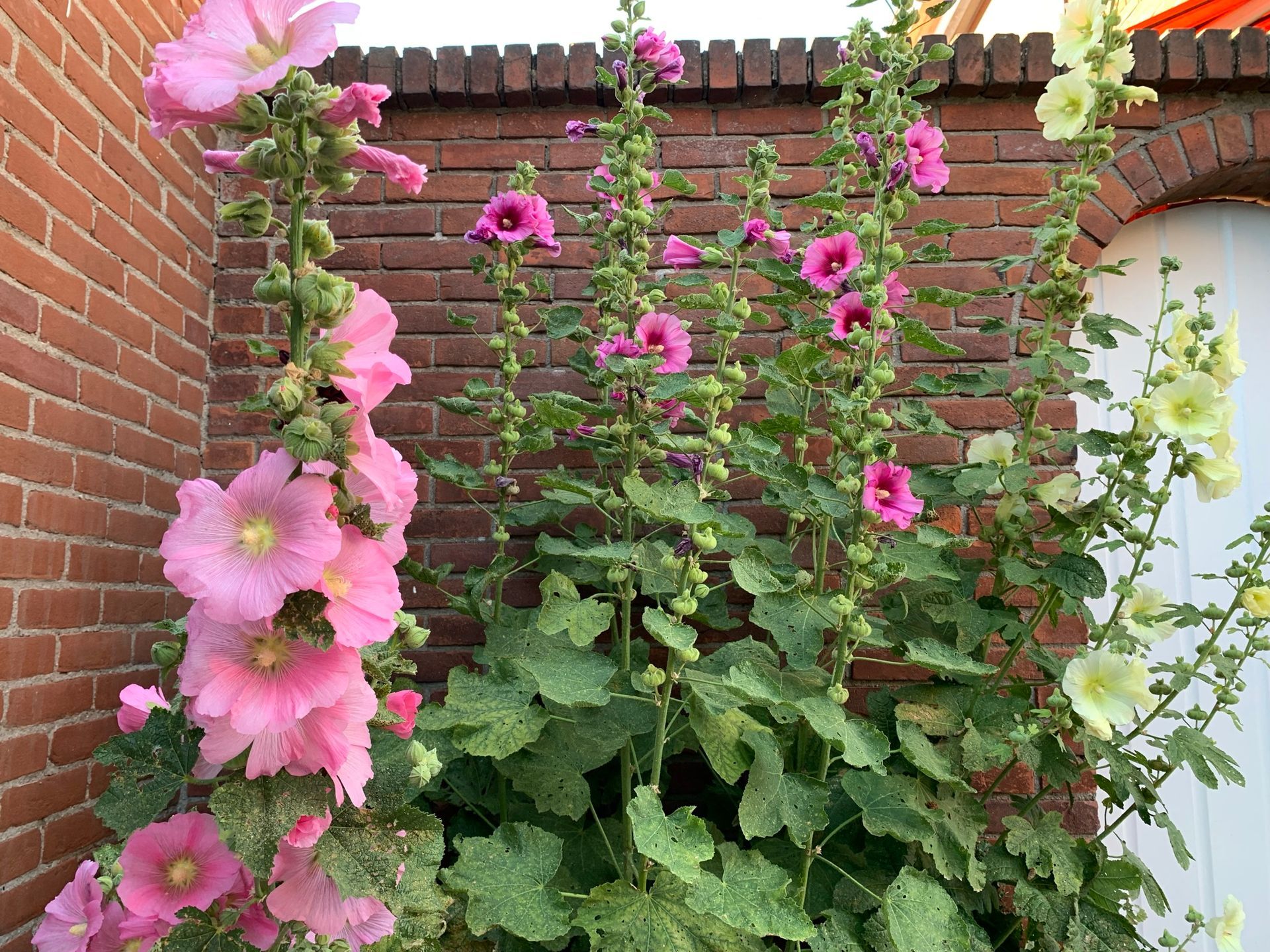 Doen in de zomer