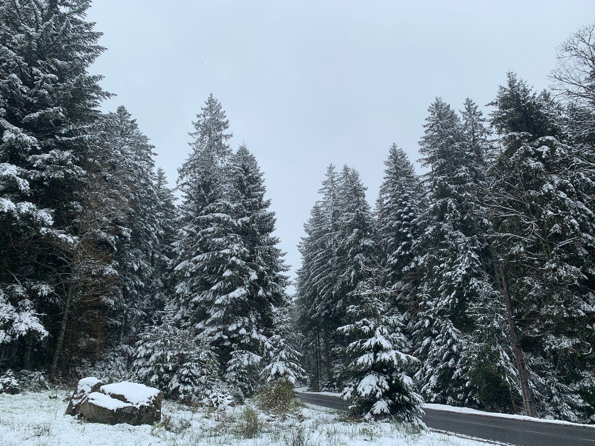 
Doen in de winter