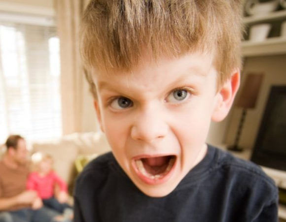 Nederlandse opvoedonzin leidt tot verwende kinderen