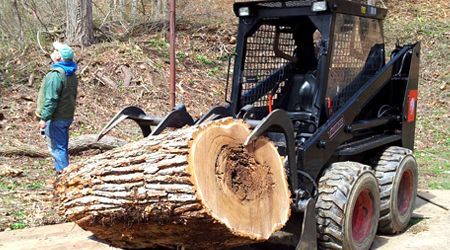 A person stands near a skid steer loader lifting a large, thick log in a wooded area.
