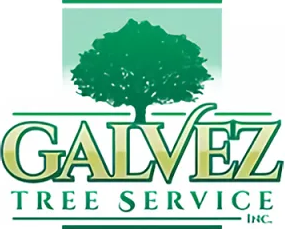 Galvez Tree Service logo