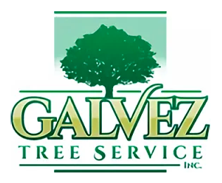 Logo for Galvez Tree Service Inc., featuring a green tree silhouette, and the company name.