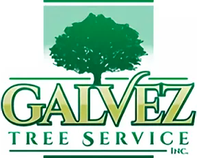 A logo for skyline tree experts with a tree in the middle.