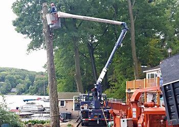 A worker in a bucket truck lifts a tree limb near a lake, with a wood chipper nearby.
