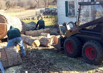 Two people use a skid steer to move large, cut tree logs in a yard next to a house.
