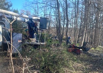 A utility truck with an elevated bucket and a worker operating a stump grinder in a wooded, sunny area.