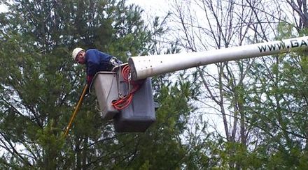 A utility worker in a white hard hat stands in an aerial bucket lift, using a long pole to trim tree branches.