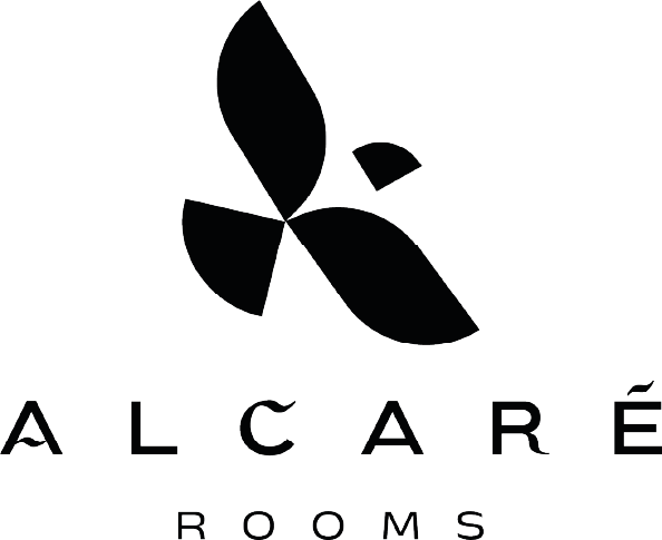 Logotipo de pájaro estilizado negro encima de las palabras