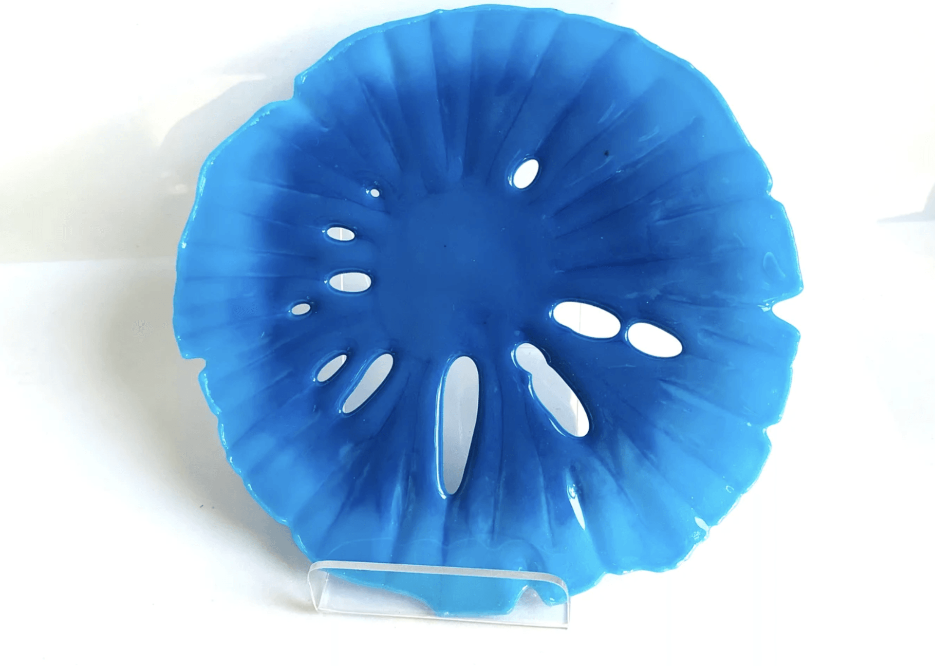 Fused Glass Powder Blue Sand Dollar Wall Art