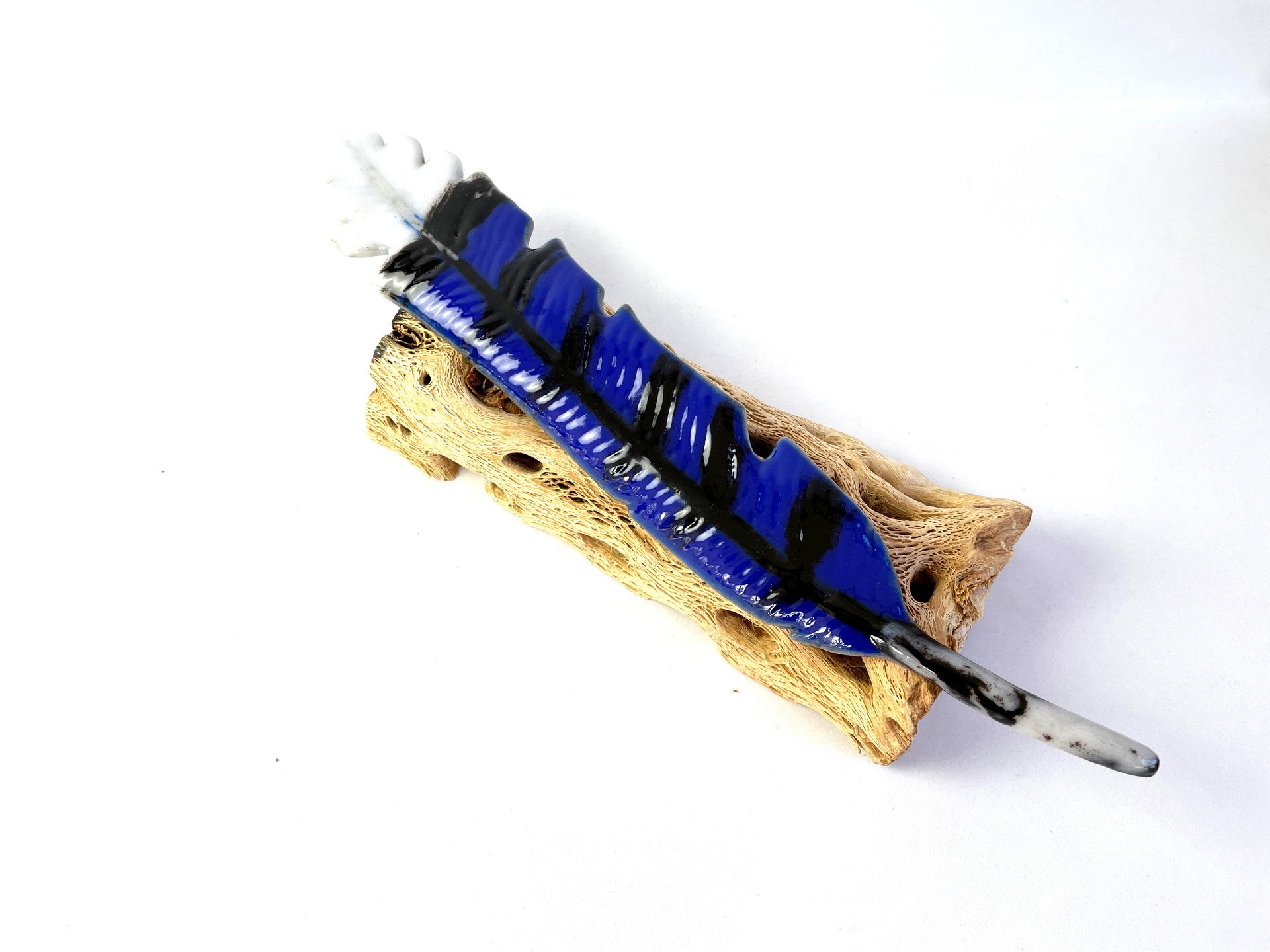 A blue and black glass feather is sitting on a cholla.