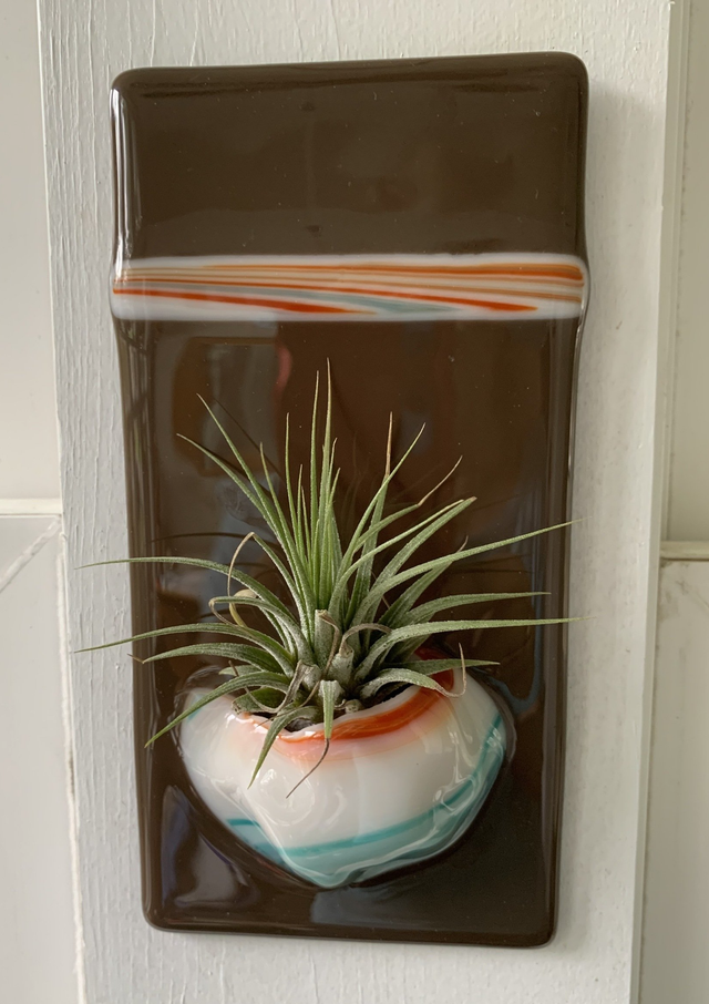 vigoro dracaena Dracaena Mass Cane Houseplant - Extra Large (5'-6' tall) Grow Pot