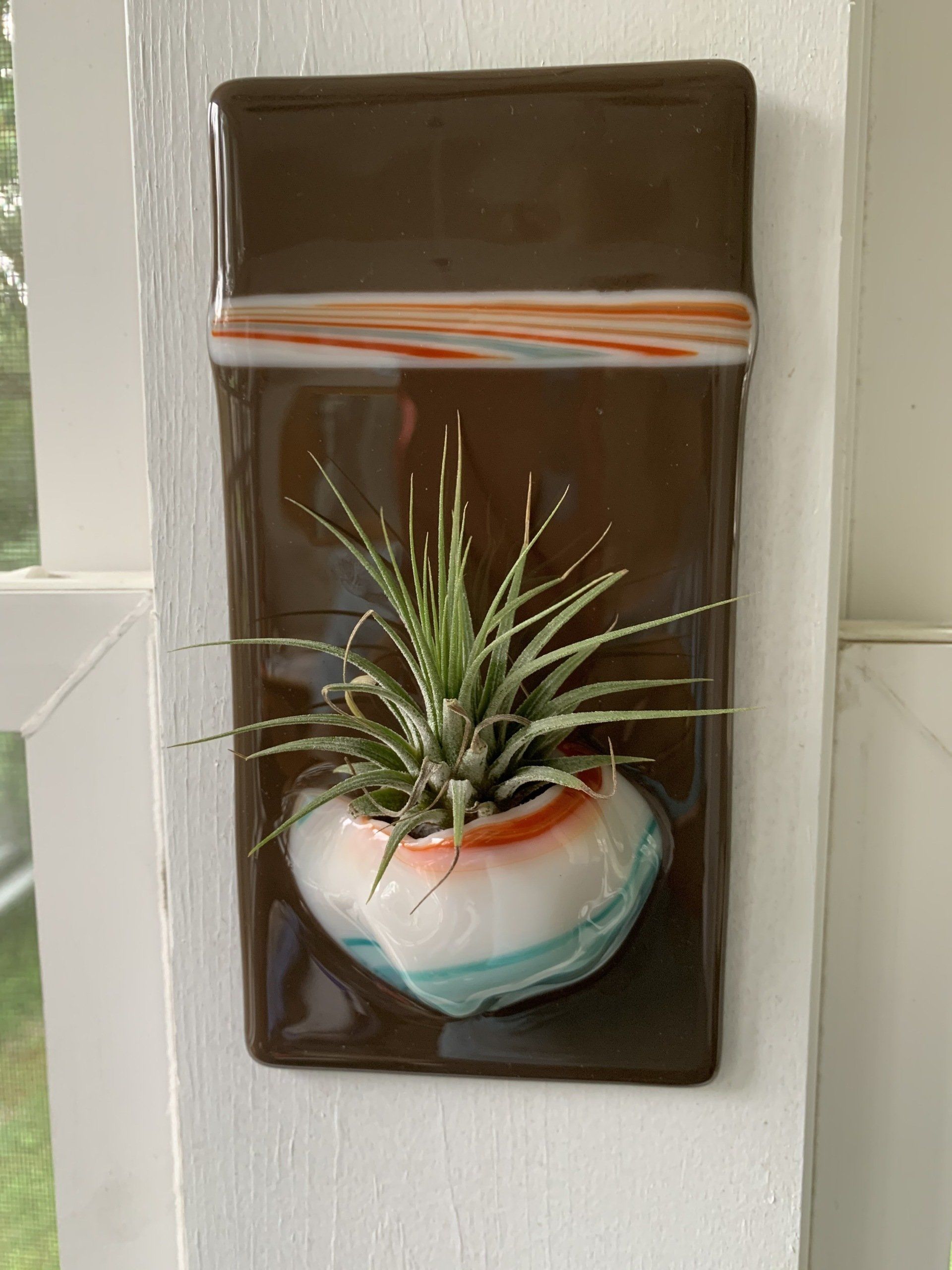 Air Plant Holder Pocket Vase