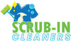 Scrub-In Cleaners Logo