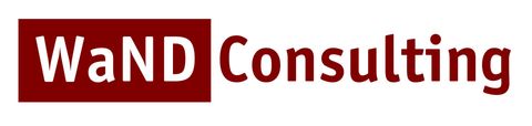 WaND Consulting, electi, security, project management, MOD