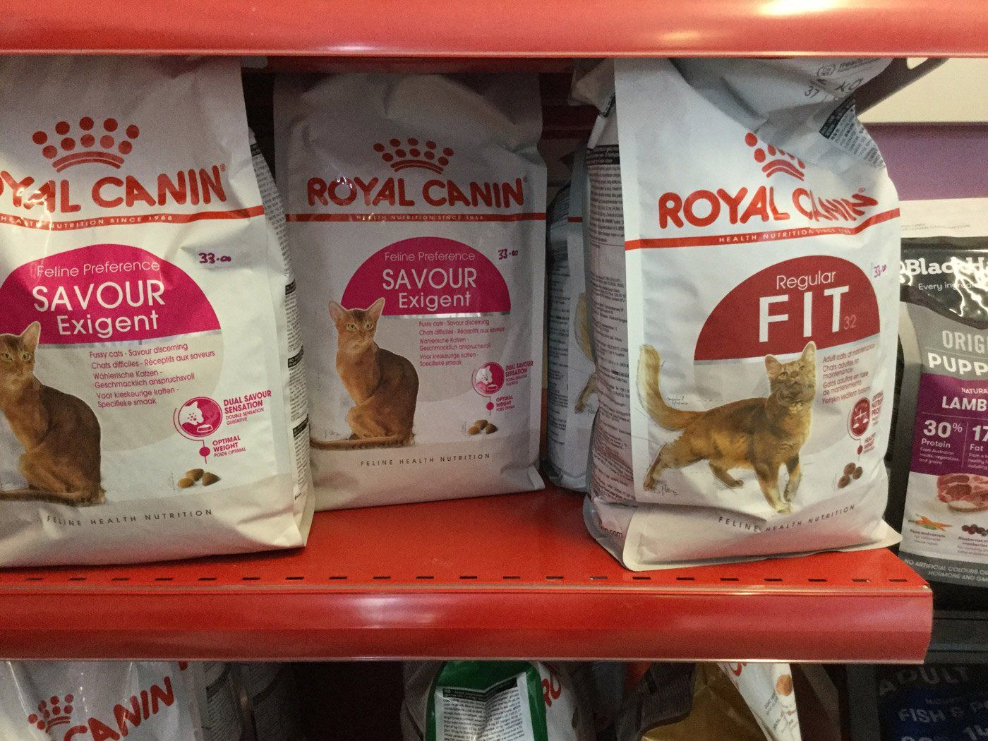 royal canin cat