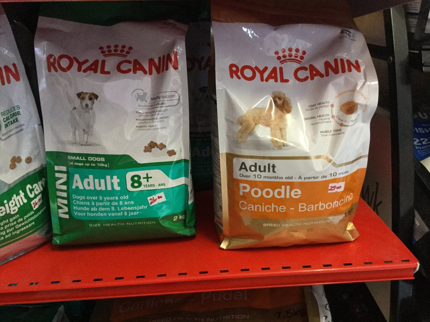 royal canin dog